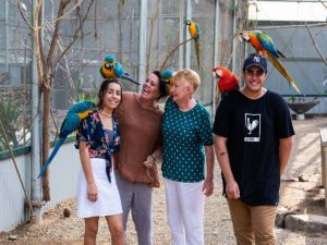 Maleny Botanic Gardens and Bird World - Accommodation Kalgoorlie