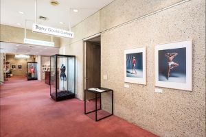 Tony Gould Gallery - Accommodation Kalgoorlie