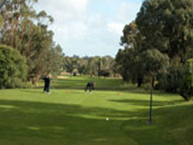Mount Gambier Golf Club - Accommodation Kalgoorlie